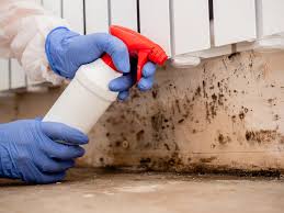 Mold Remediation for Rental Properties in Hallsville, MO